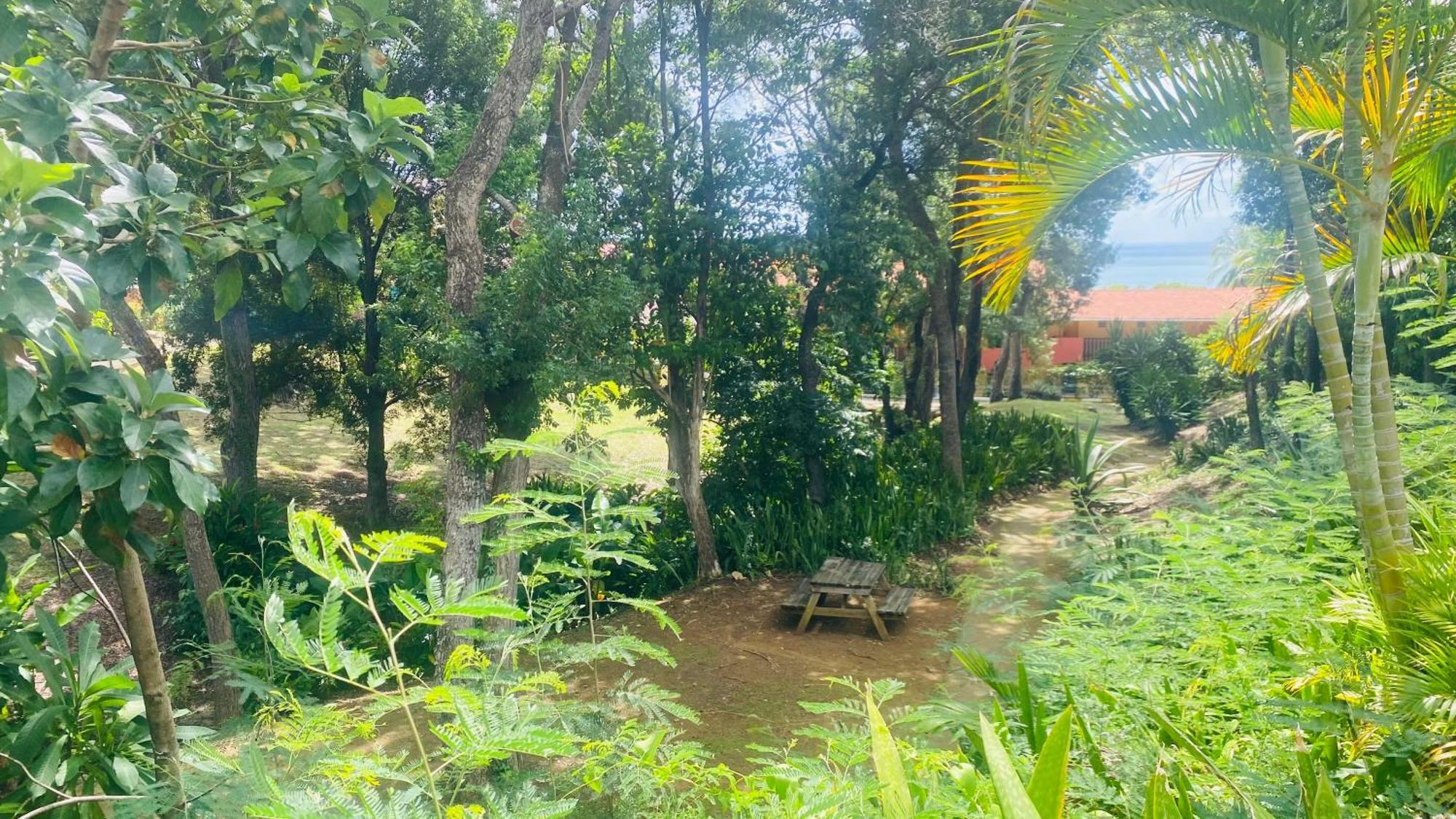 فيلا Secret Garden سانت آن المظهر الخارجي الصورة